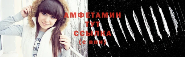 метадон Няндома