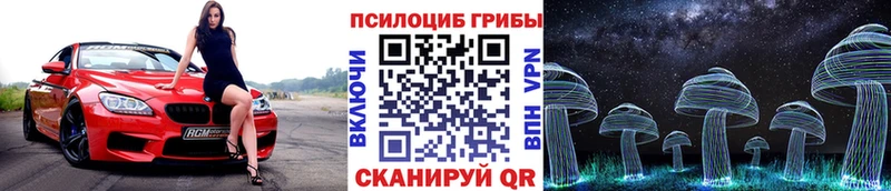 Псилоцибиновые грибы ЛСД  даркнет сайт  Ртищево 